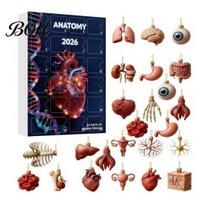 Acrylic Hanging Charms 2026 Anatomy Advent Calendar, 24-Day Body Organ Ornament Set, Human Anatomical Ornaments Decor for Christmas Tree, Science Gift B