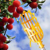 Garden Hand Tools Fruit Picker Multi-color Plastic Fruit Picking Tool Catcher Agrarische Bayberry Jujube Picking Levert 20cm X 10cm balta