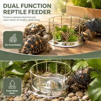 Stainless Steel Reptile Food Bowl Dual-Purpose Tortoise Feeder Bowl Pet Water Dish  Water Turtle M