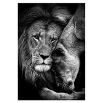 Gyvūnai Juoda Balta Liūtai Meilė Šeima Spaudiniai Plakatas Drobės Tapyba Modernus Sienos Menas Paveikslai Svetainė Miegamasis Namų Dekoravimas 50x80cm No Framed