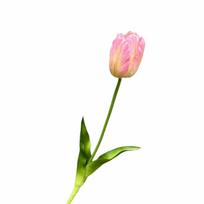 High-End Realistic Tulip Simulation Flower Flower Arrangement Parrot Tulip Faux Tulip Flower Hand-Held Design Lifelike Tulip šviesiai rausvos spalvos