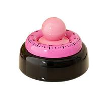 Visual Timer For Kids With Magnet, Quiet 60 Minute Countdown Timer,For Homework, Reading, Study Time, Kitchen & Small Spaces geltona