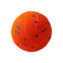 Interactive Motion Activated Puppies Toy ETPU Promote Physical Exercise Activity ETPU red