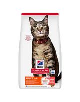 HILL'S Science Plan Feline Adult Salmon 2 x 10 kg sausas pašaras su lašiša suaugusioms katėms