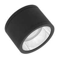 Ledvance 30W LED paviršinis lauko šviestuvas, juodas, 3000K, IP65, 36°