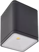 6W LED paviršinis lauko šviestuvas BETA, tamsiai pilkas, 4000K, IP54, 9199