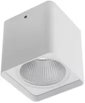 20W LED paviršinis lauko šviestuvas XIA, baltas, 3000K, IP54, 9582