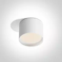 12W LED paviršinis šviestuvas, baltas, 3000/4000/5000K, IP44, 12112D/W/V