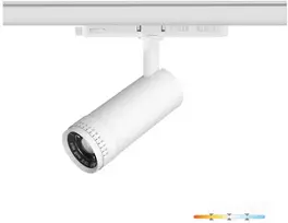 20W akcentinis šviestuvas į 3 fazių bėgelius LED NEXTRACK VISION, baltas, 3000/4000/5000K, 30-60°