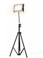 45W LED pastatomas šviestuvas augalų auginimui FIRON, juodas, 5000K, IP65