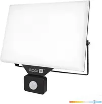 100W LED prožektorius su judesio davikliu DELYO MHNC, juodas, 6000K, IP54