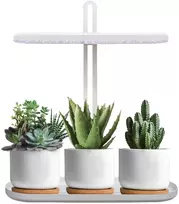 12W LED stalo šviestuvas augalų auginimui BLOOM, baltas, 4500K