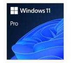 Microsoft ESD Windows Professional N 11 64 bitų visų kalbų internetinė produkto rakto licencija 1 licencija atsisiunčiama ESD NR