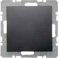 Berker Hager Berk aklasis kištukas 6710091606 antracito matinis, 1 vnt. 1 vnt.