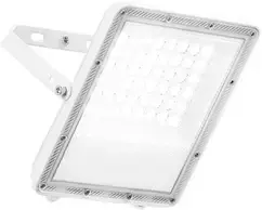 50W LED prožektorius ESUS, baltas, CCT, IP65