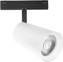 30W LED šviestuvas, montuojamas į DAVINCI sistemą, baltas, 3000K