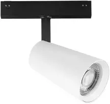 30W LED šviestuvas, montuojamas į DAVINCI sistemą, baltas, 4000K