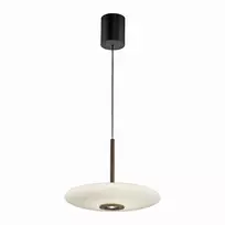26W LED pakabinamas šviestuvas E-VITRUM, rudos sp. korpusu, 2700-5000K, dimeriuojamas, reguliuojamo aukščio