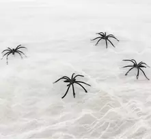 Voratinklis su vorais