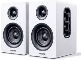 Sanyun lentyninės aktyviosios garso kolonėlės Bluetooth 5.0, 60 W, 24 bitų DAC SW-208