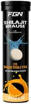 Maisto papildas su Shilajit ir magniu FGN Shilajit Brause 20 putojančių tablečių, apelsinų skonio
