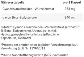 Ecdysterono kapsulės GN 60 kapsulių