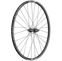 Ratas galinis 29" DT Swiss XR1700 Spline 12 x 148 mm