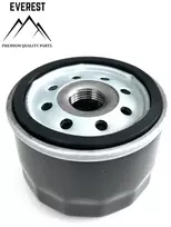 Alyvos filtras, Briggs & Stratton sodo traktoriukui