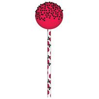 CCC Cake Pop lazdelės 15cm 24vnt. (Boružė)