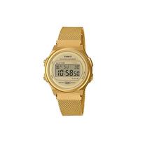 CASIO Unisex YOUTH Auksinis laikrodis A171WEMG-9AEF A171WEMG-9AEF Gold Watch Case beige