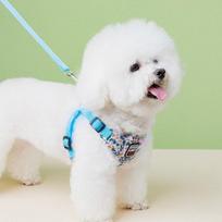 Dog harness, chest strap, anti-tear leash, small dog, blue, 1 set white