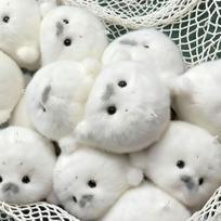 Cute Baby Seal Doll Plush Toy Pendant Simulation Ocean Toy Souvenir Seal Pendant Gift Doll Bag Pendant Simulated Aquatic Gift gray