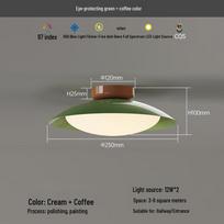 Pailide Prue Full-Spectrum Eye-Protection Ceiling Light gray