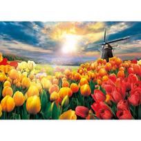 Bright tulip field jigsaw puzzle T-A10-1023, Korean popular puzzles yellow