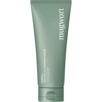 Kundal Artemisia Acne Cleansing Foam, 140ml, 1 piece gray