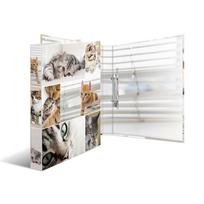 Herma Cats Ring Binder A4 (2D)