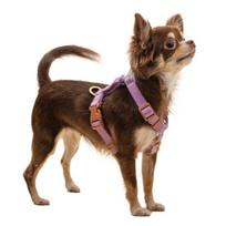 Bodelang puppy pure cotton H-shaped chest strap, lavender black