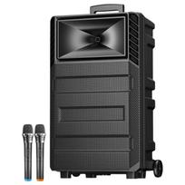Soaiy 12-inch High-Power Portable Karaoke Trolley Speaker (CN version)