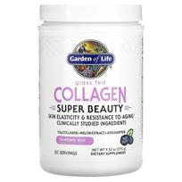 Garden of Life, Grass-Fed Collagen, Super Beauty, Blueberry Acai, 9.52 oz (270 g)
