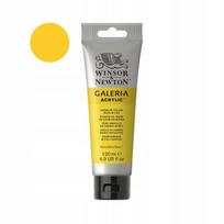 Winsor & Newton Galeria Akriliniai Dažai 120 ml - Kadmio Geltonos
