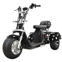 2000W Dvigubos baterijos elektrinis paspirtukas - 80KM nuotolis, 200KG apkrova, 10  ratai su pilka