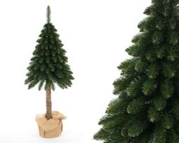 Dirbtinė žalia eglė Erbis ant natūralaus kamieno, 210 cm