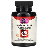 Dragon Herbs, Ginseng & Astragalus, 500 mg each, 100 capsules
