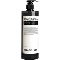 Bouquet Garni Nad Charcoal Pore Absorbing Cleansing Foam, 500ml, 1 piece gray