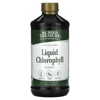 Buried Treasure, Liquid Chlorophyll, Spearmint Flavor, 16.23 fl oz (480 ml)