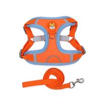 Homelimium Welsh Corgi Dachshund harness XL + leash set, orange, 1 set gray