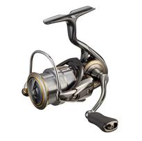 DAIWA 21 Rubias Airity FC LT2000S-H gray
