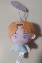 Sanrio NCT x Collaboration Mascot Cinnamoroll with Tags Prize Item (XIAOJUN) brown