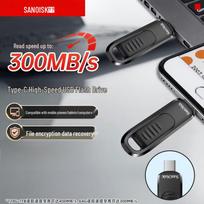 SanDisk 256GB USB 3.2 Type-C Flash Drive CZ480 gray