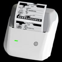 Niimbot B31 Portable Thermal Label Printer CN plug (adapter included) gray